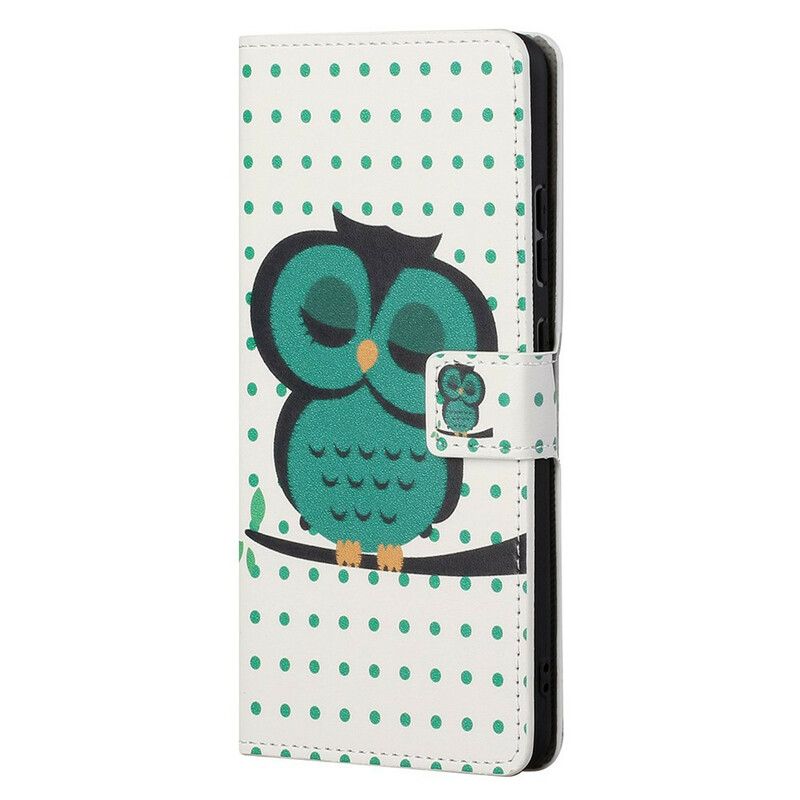 Leren Hoesje iPhone 13 Pro Max Slapende Uil Bescherming Hoesje