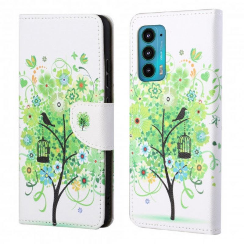 Bescherming Hoesje Motorola Edge 20 Groene Boom