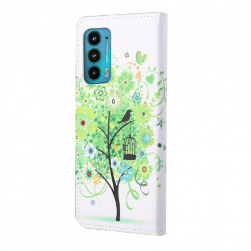 Bescherming Hoesje Motorola Edge 20 Groene Boom