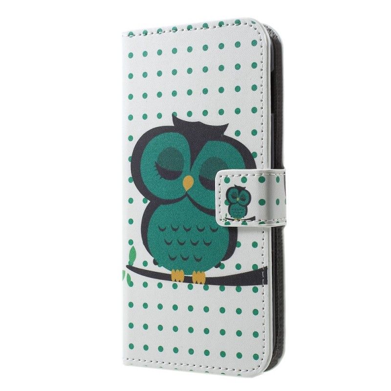 Cover Folio-hoesje Samsung Galaxy S10e Telefoonhoesje Slapende Uil