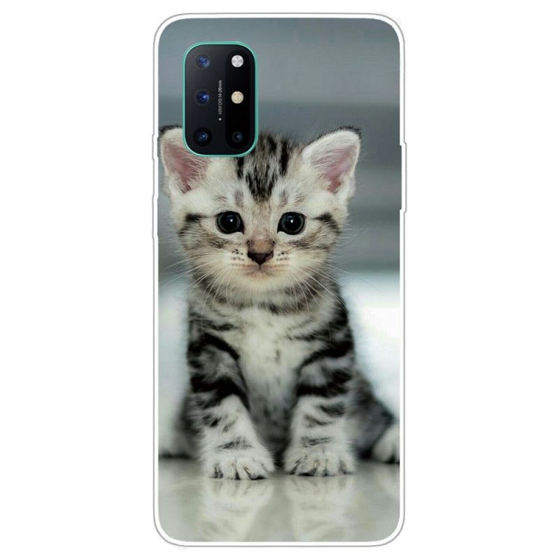 Hoesje voor OnePlus 8T Kitten Kitten