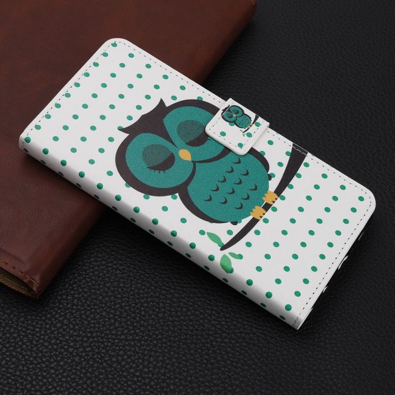 Leren Hoesje voor iPhone 12 Mini Slapende Uil