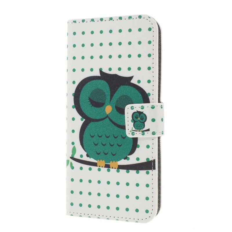 Bescherming Hoesje Samsung Galaxy S10 Plus Telefoonhoesje Slapende Uil