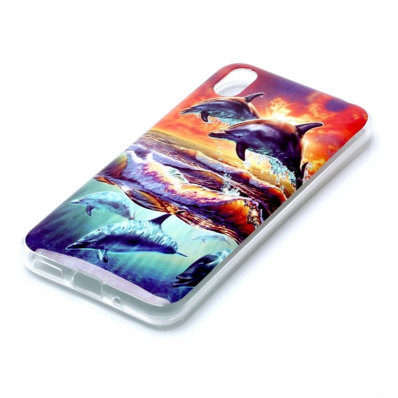 Case Hoesje Huawei Y5 2019 Telefoonhoesje Dolfijnen In Het Wild