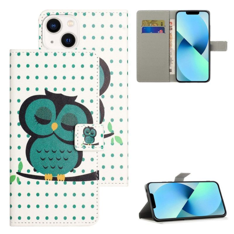 Folio-hoesje voor iPhone 15 Plus Slapende Uil